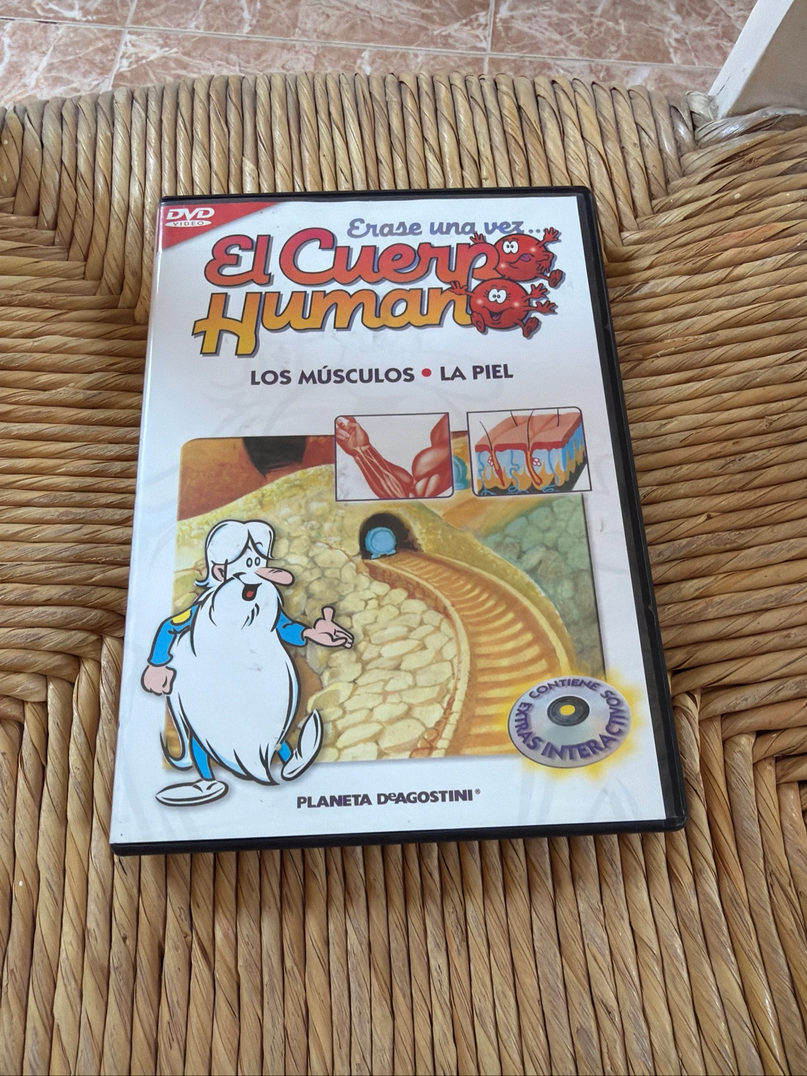 CD el cuerpo humano 